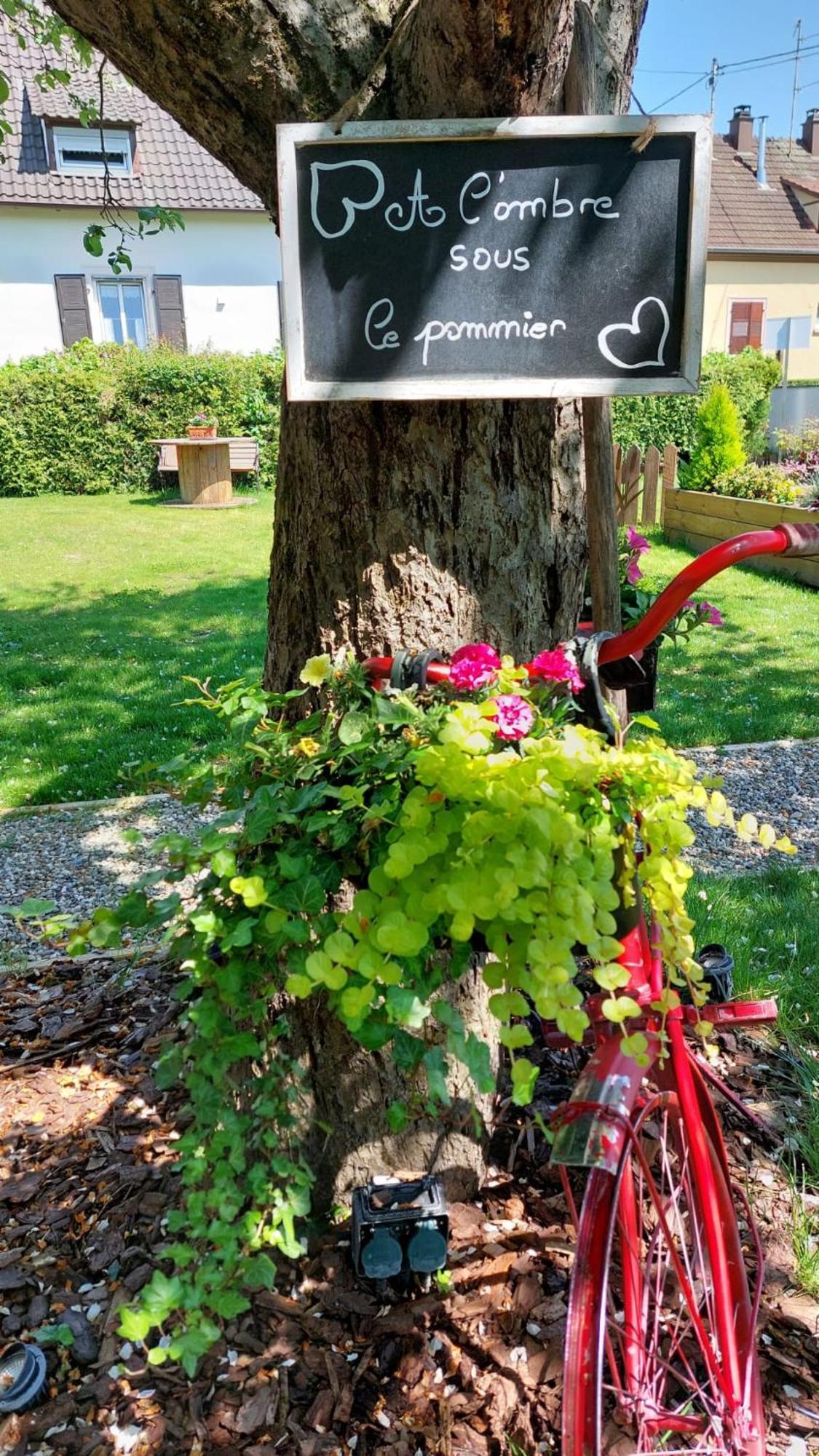 Gite Au Pommier Fleuri Et Son "Appart" Independant Drusenheim Eksteriør billede